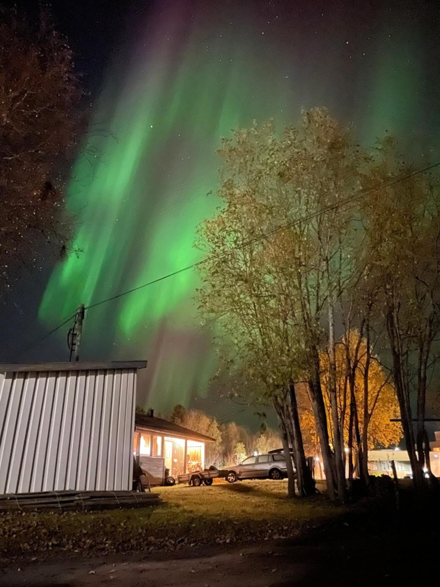 Sentral Og Romslig Leilighet Naert Senja 핀스네스 외부 사진